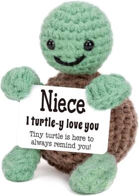 4thfarmes 4thfarmes-t21 Mini Funny Turtle Niece Gifts From Auntie Aunt Uncle Christmas Birthday