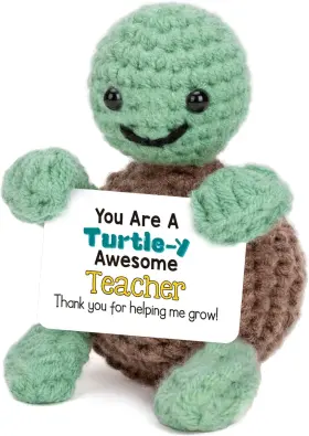 4thfarmes-tt-01 4thfarmes Mini Funny Turtle Teacher Appreciation Gifts For Women Men Back To School