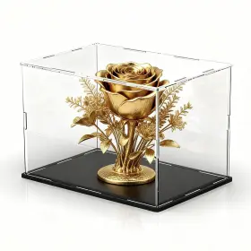 An15 Anmaynice Large Acrylic Display Case Clear Box With Matte Base Dustpr