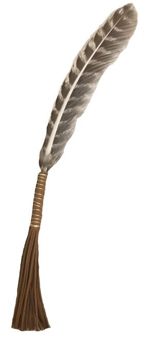Azuregreen 711662080094 10 Inch Leather Wrapped Smudging Feather With Tassel Brown