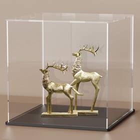 Brand Svenjbb Jac6 6x6x6 Inch Acrylic Display Case - Clear Cube With Matte Black Base And Lid