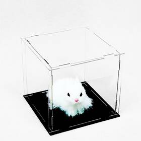 Ceet 739240165971 Clear Acrylic Display Case Box Versatile Collectibles Dustproof