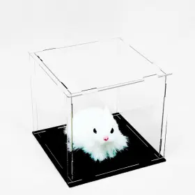 Ceet 739240165971 Clear Acrylic Display Case Box Versatile Collectibles Dustproof Ceet 739240165971 Clear Acrylic Display Case Box Versatile Collectibles Dustproof