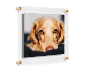 Gms1215dg Cool Modern Frames 8x10 Inch Clear Double Panel Floating Acrylic Picture Frame Display With Gold Har