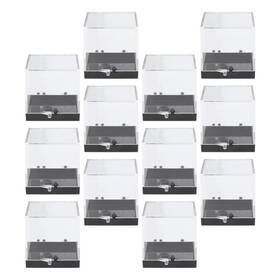 Doitool 2022584o8xu Mineral Display Box 12pcs Transparent Square Plastic Specimen Display
