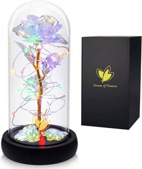 Dream Of Flowers Mz062 Valentines Rose Gift For Her Womens Birthday Gifts Galaxy Colorful