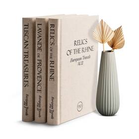 Encedesigns 20241 Decorative Books For Home Decor- Set Of 3 Fake Decoration- Travel I