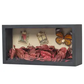 Increased Fire Black-5 10 Shadow Box Frame 5x10 Display Case With 5 Black