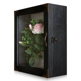 Kaasthaa Sd001 Shadow Box Frame 11x13 Depth 5in Boxes Display Cases Acrylic Door R