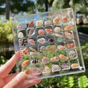 Kywyoyou Sdb-1 Acrylic Magnetic Seashell Display Box Box