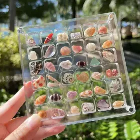 Sdb-1 Kywyoyou Acrylic Magnetic Seashell Display Box