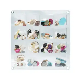 Sdb-3 Kywyoyou Acrylic Seashell Display Case - 16 Grids Magnetic