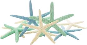 Nautical Crush Trading Ncts1696 Starfish Decor - Star Fish For Craft 10pk Real Green Blue White 2-4in