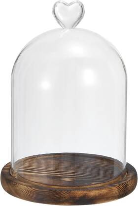 Patikil Pta231024tt000957eu 8.3 Inch X4.7 Glass Dome Cloche Clear Bell Jar Display Case Tabletop