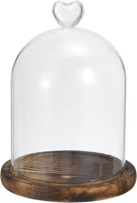 Pta231024tt000957eu Patikil 8.3 Inch X4.7 Glass Dome Cloche Clear Bell Jar Display Case Tabletop