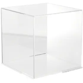 Plymor 840003107319 Acrylic Display Case With Clear Base Mirror Back 12 Inch X