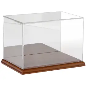 Plymor 840003108125 Clear Acrylic Case With Hardwood Base Mirror Back 9 Inch W X 6 D H