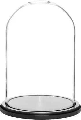 Dome8x12-bib Plymor 8 Inch X 12 Glass Display Dome Cloche Black Mdf Wood Base