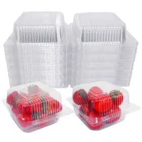 56xu016v07el04qfi7op Waqiago 200 Pcs 5x5 Inch Plastic Clamshell Take Out Tray Disposable Sturdy Hinged Loa 56xu016v07el04qfi7op Waqiago 200 Pcs 5x5 Inch Plastic Clamshell Take Out Tray Disposable Sturdy Hinged Loa