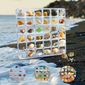 R5-bksn-36 Zughxms Seashell Display Box Acrylic Magnetic Case 36 Grids Tran