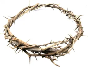 Hlg027z Zuluf Crown Of Thorns Bethlehem Jerusalem Holy Land Aprox 7.5 Inch Diameter Brown