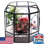 Redhugo Large Glass Terrarium Handmade, Centerpiece Display Box Gift Planter Con. Price: $83.21.