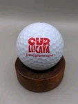 Grand Bahama Logo Golf Ball Srixon Collectors Display Our Lucaya Islands Used. Price: $9.99.