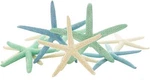 Decor For Craft 10PK Real 2-4" Green Blue White Sea St... New. Price: $30.26.