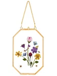 Redhugo Pressed Flower Frames, Glass Floating For Display Dried Plant ... New. Price: $19.42.