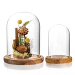 Zeershee 2PCS Glass Display Dome Cloche With Wooden Base For Home Wedding Par... New. Price: $34.44.