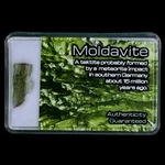 Moldavite Tektite Green Glass Meteorite Specimen Southern Germany Display Unspecified. Price: $27.99.