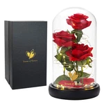 Dream Of Flowers Mother Day Enchanted Red Gifts For Mom,beauty Classic New. Price: $69.99.