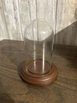 Bards Glass Display Dome Walnut Base Taiwan Used. Price: $25.00.