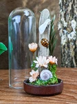 Southern Flannel Moth Glass Dome Display Taxidermy Entomology Insect Decor Gift New. Price: $24.99.