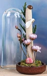 Southern Flannel Moth Glass Dome Display Taxidermy Entomology Insect Gift Decor New. Price: $24.99.